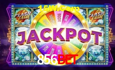 Experiência VIP 856bet