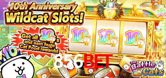 856bet: A Experiência de Casino com Jogos de Mesa ao Vivo