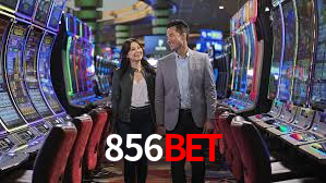 856bet App Interface