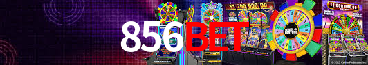 Programa VIP 856bet
