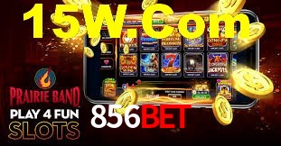 Programa VIP 856bet