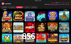 856bet,856bet.com