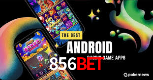 856bet