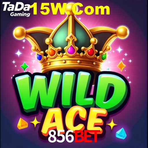Apostas com odds competitivas na 856bet