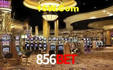 Torneios 856bet