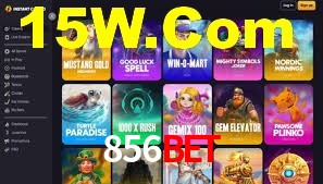Premium Interface 856bet