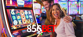 856bet