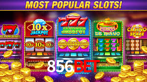 856bet App Interface