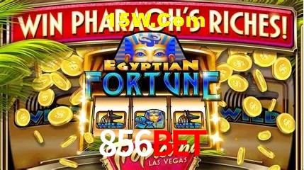 Provedores de Jogos 856bet